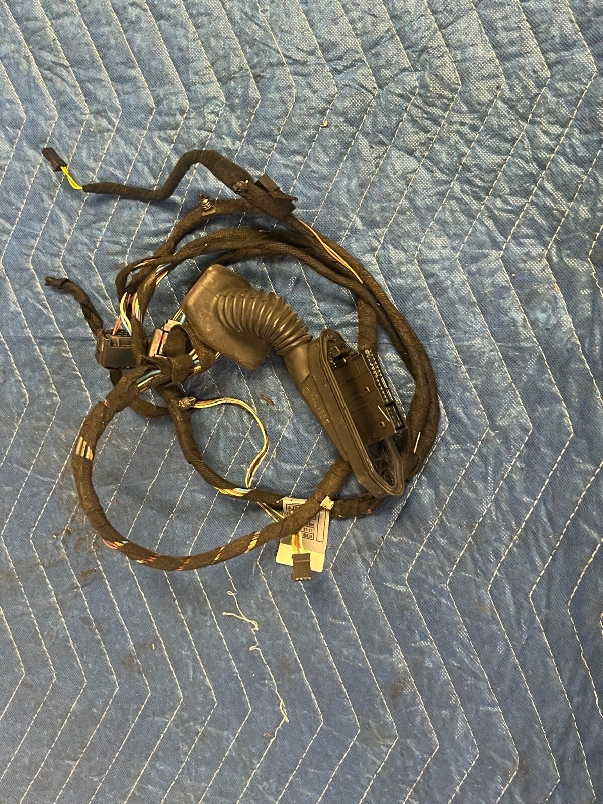 Image #5