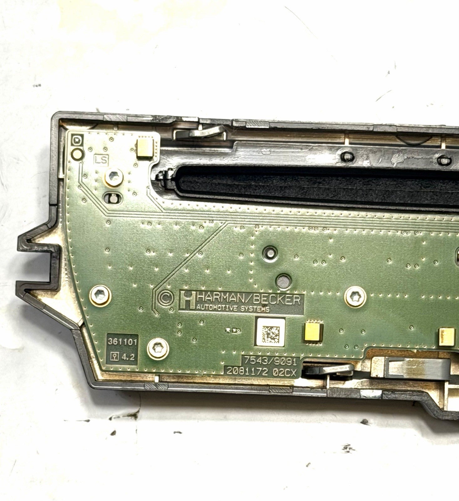 Image #8