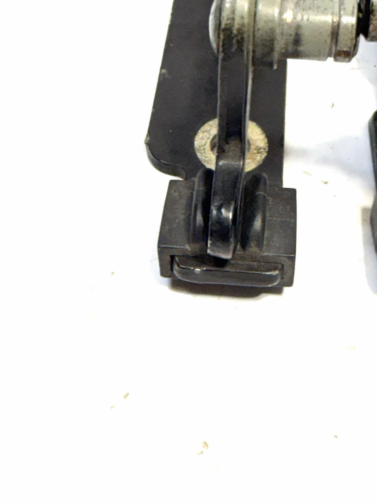 Image #8
