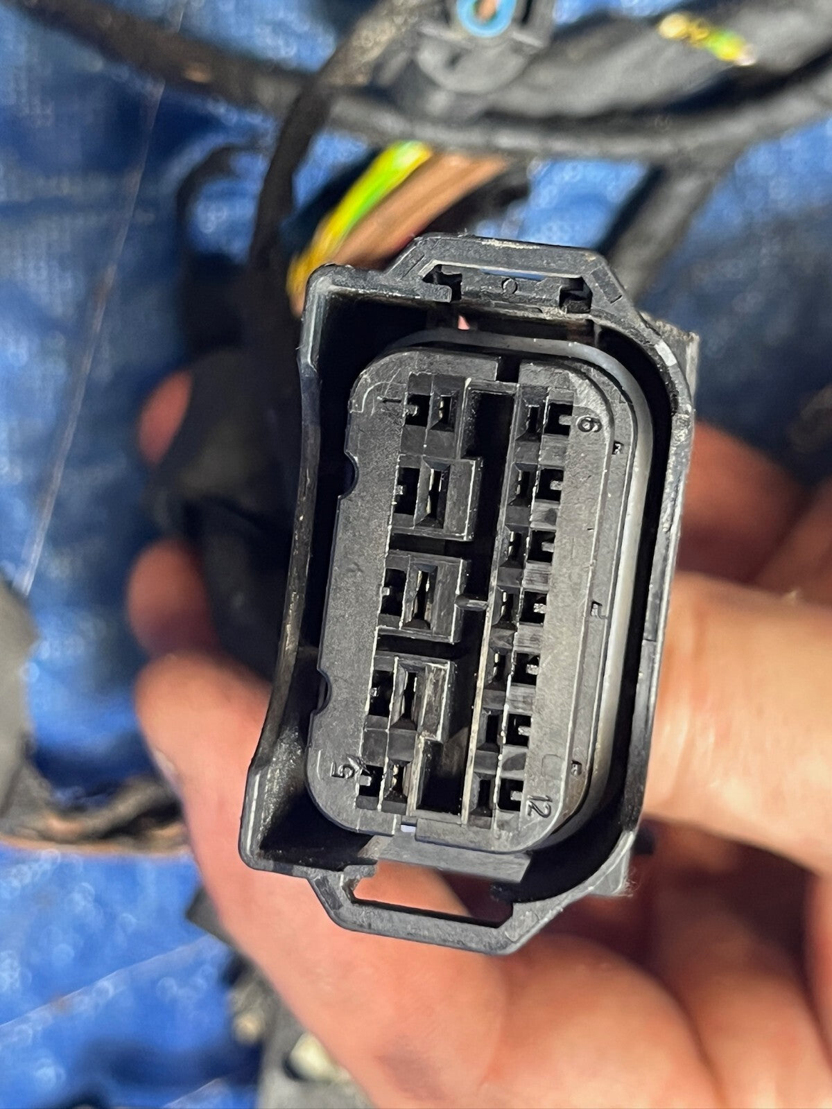 Image #7